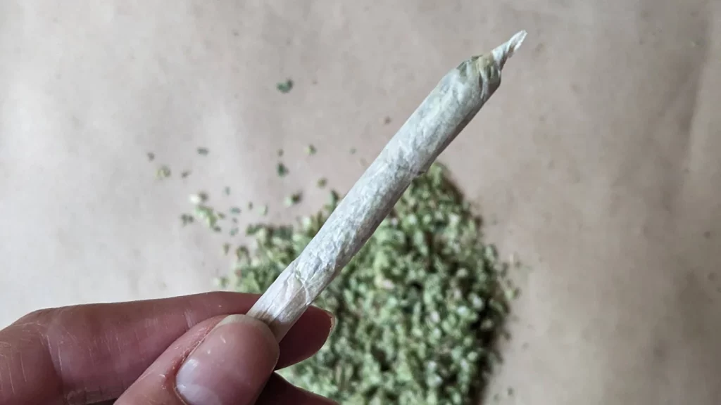 rolling a joint